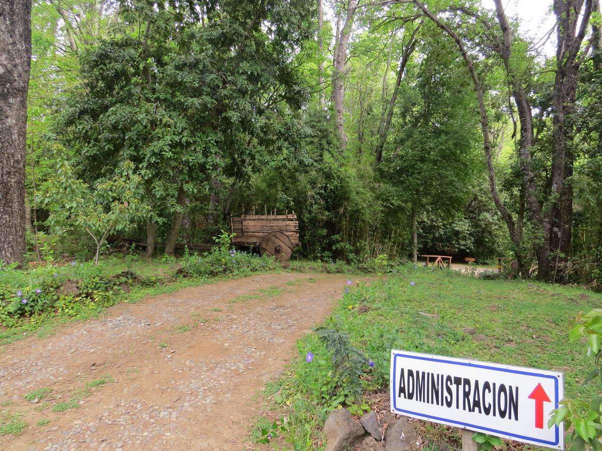 Aliwen Alojamento Valle Las Trancas